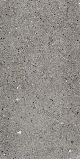 Ego Grigio Scuro Nat. Rett 120x60 - фото 1