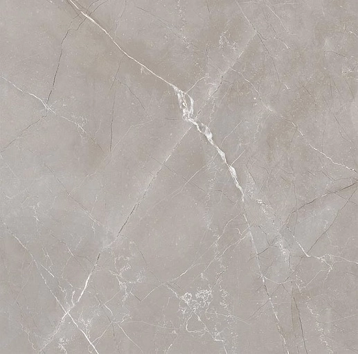 Vitrum Grigio Серый 60x60 матовый - фото 1