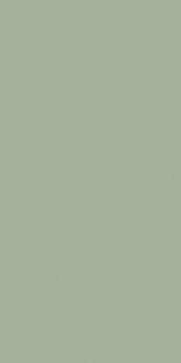 Feelings Green Rekt. 29.8x59.8 - фото 1