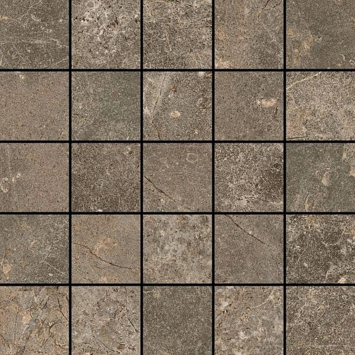 Червиния Земля 28x28 - фото 1