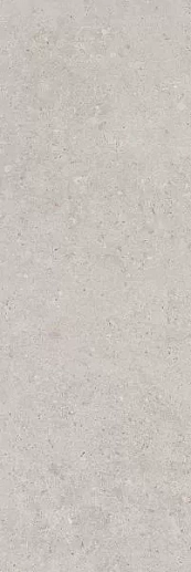 14053R Риккарди серый светлый матовый обрезной 40x120 - фото 1