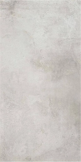 Jasper Pav.M.C.Silver Mt Rect. 60x120 - фото 1