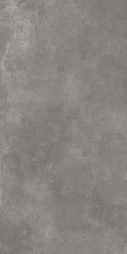 Nord Gris Серый 60x120 - фото 1