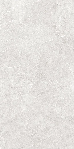 Bliss Серый 60x120 - фото 1
