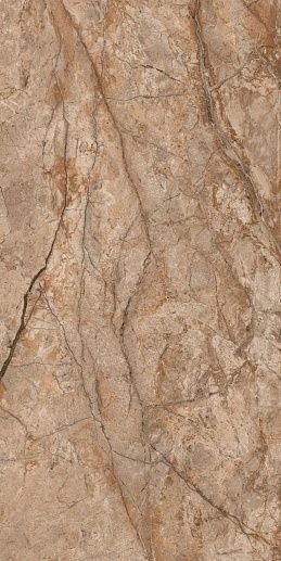 Fenix Brown 60x120 - фото 1
