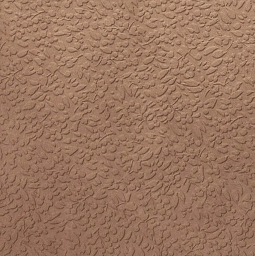 Argillae Nisus Terra 60x60 - фото 1