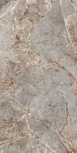 Breccia Argentum Naturale 120x280 - фото 1