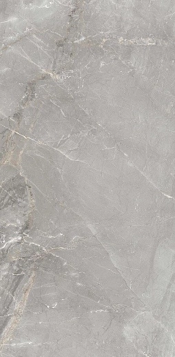 Charme Grey 60x120 - фото 1