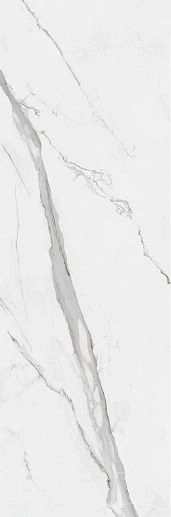 Cellini Mate Rect. 33.3x100 - фото 1