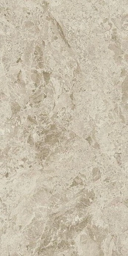 Victory White 80x160 - фото 1