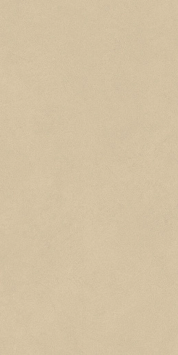 Boost Natural Pro Sand Matte 60x120 - фото 1