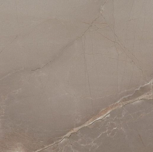 Passion Lux 60 Taupe 60x60 - фото 1