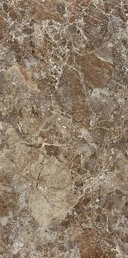 Paradiso Brown 120x240 - фото 1