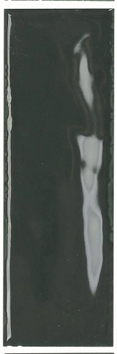 Artisan Green Bottle 5x15 - фото 1