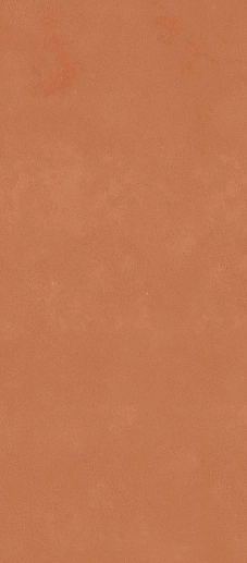 Retina RTN6 ARANC278RM 120x278 - фото 1