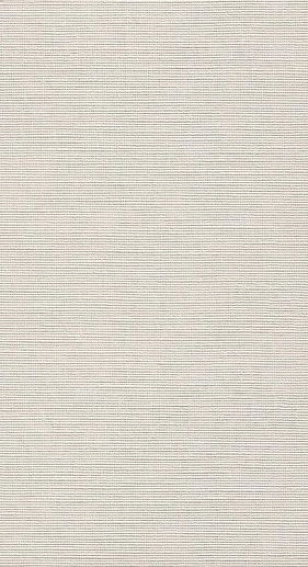 Milano & Wall Bianco 30.5x56 - фото 1
