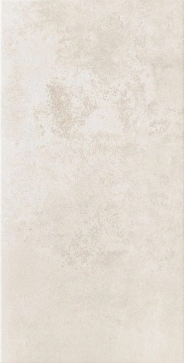 Neutral Grey 29.8x59.8 - фото 1