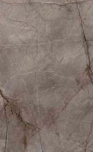 Root Ash Lap 60x120 - фото 1