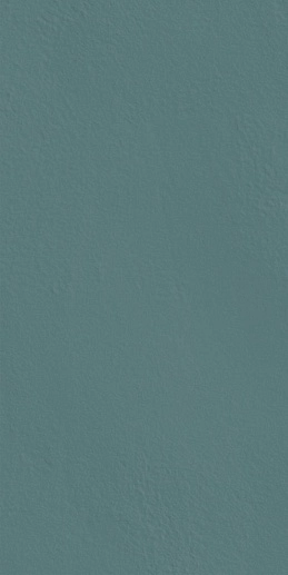 Треви Уолл Проджект Blue Brick 10x20 - фото 1