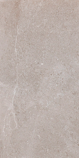 Erding Ash Decorstone Rett. 60x120 - фото 1