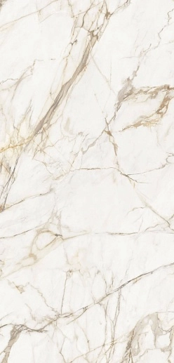 Calacata Gold Polished 120x 250 - фото 1