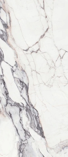 Les Origines de Rex Argent Glossy 120x280 - фото 1