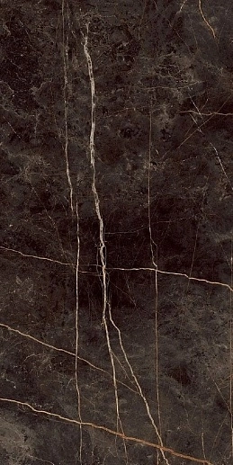 Stone Vision Black 60x120 - фото 1