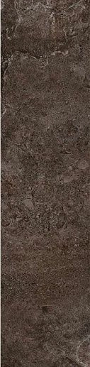 Des Alpes Bruno 23.7x97 Rett - фото 1