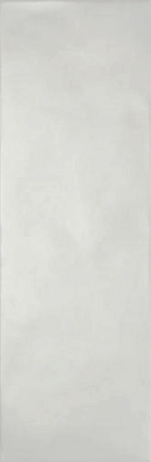 Leed Gris 20x60 - фото 1