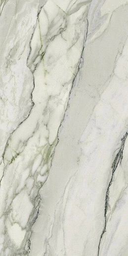 Arabescato Green Matt Rect 60x120 - фото 1