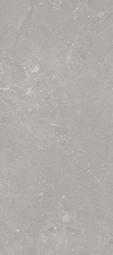 Party ALGAR6 12G RM 60x120 - фото 1