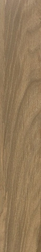 Walnut Tan 20x120 - фото 1