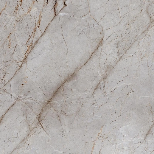 Silver Root 60x60 - фото 1
