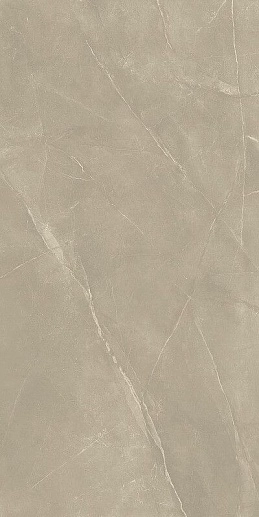 Pulpis Silver Rett 60x120 - фото 1