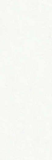 Craft Blanco 25x75 - фото 1
