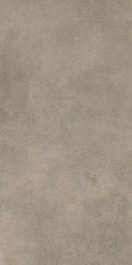 Magnetik Brown Rekt. 59.8x119.8 - фото 1