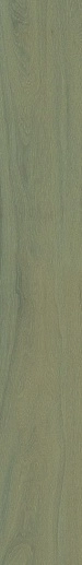 Lignum R Green 26x180 - фото 1