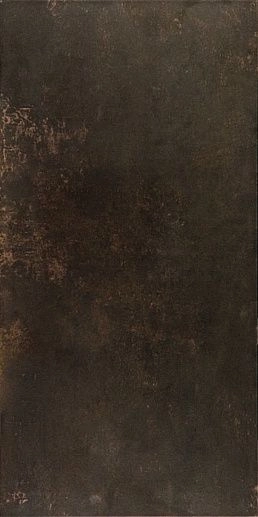 Evolution Bronce Lapatto Rect 49.1x98.2 - фото 1