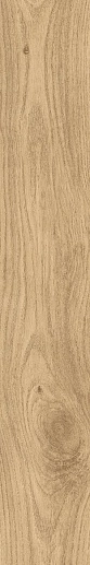 Orleans Natural 19.3x120 - фото 1