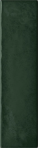 Masovia Verde C Gloss 7.8x29.8 - фото 1