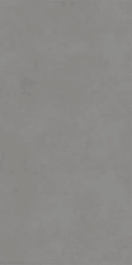 Concept Light Grey 60x120 - фото 1