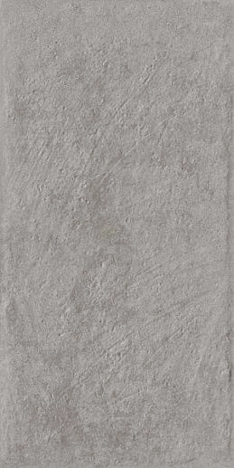Carrizo Grey Klinkier Struktura Mat 30x60 - фото 1
