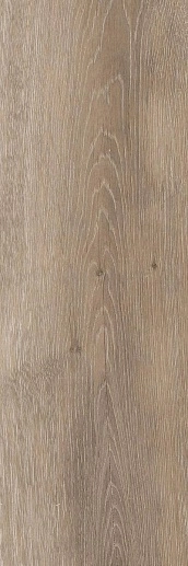 Lugano Бренди 19.9x60.3 - фото 1