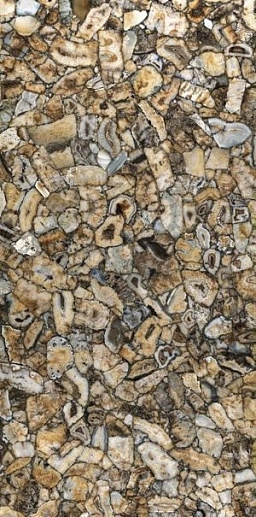 Ultra Agata Atena 150x300 - фото 1