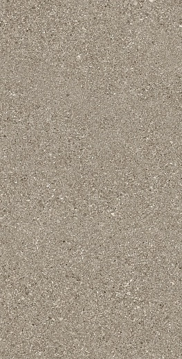 Grain Stone Fine Grain Taupe Nat.60x120 - фото 1