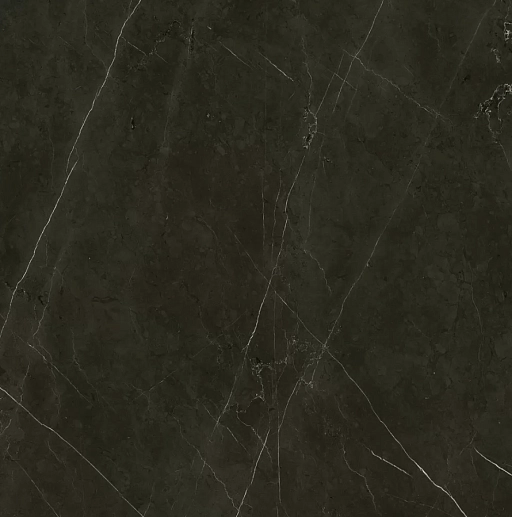 Anima Graphite Rett Lucidato 60x60 - фото 1