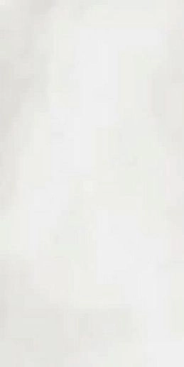 R-Evolution Total White 60x120 - фото 1