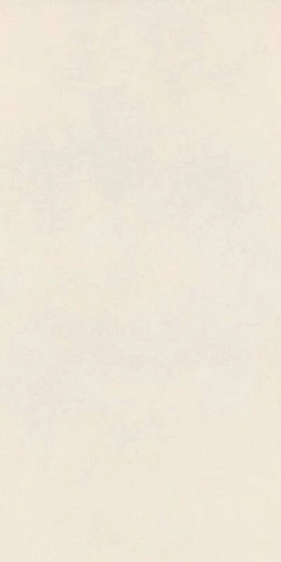 Decora Bianco 60x120 - фото 1