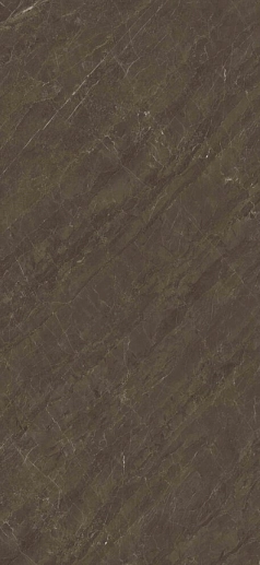 Pisa Grey Polished 120x260 - фото 1