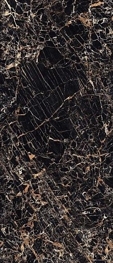 MaximVS Black & Gold 60x120 - фото 1